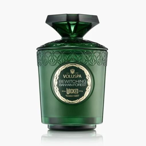Voluspa Classic Candles|Palo Santo Spells|Bewitching Banyan Forest