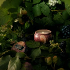 Voluspa Mini Tin|Foraged Wildberry|Foraged Wildberry