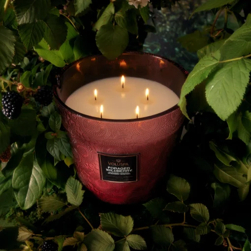 Voluspa Foraged Wildberry|5 Wick Hearths|Foraged Wildberry