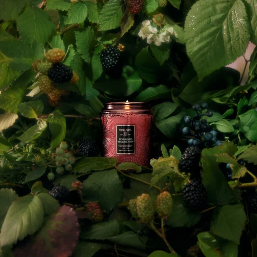 Voluspa Small Jars|Foraged Wildberry|Foraged Wildberry