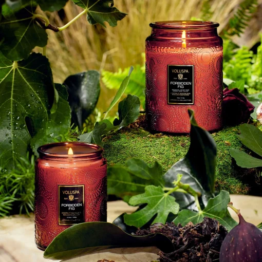 Voluspa Small Jars|Forbidden Fig|Forbidden Fig