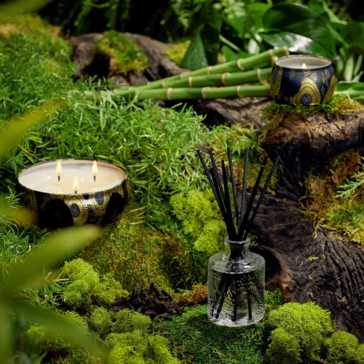 Voluspa Moso Bamboo|3 Wick Tin|Moso Bamboo
