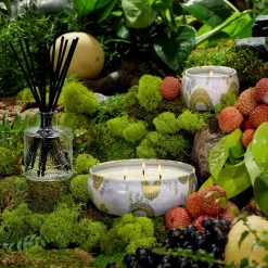 Voluspa Reed Diffusers|Panjore Lychee