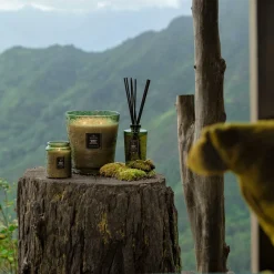 Voluspa Temple Moss|Reed Diffusers|Temple Moss